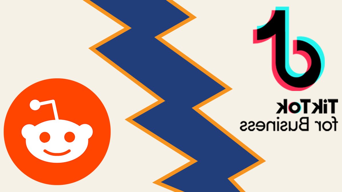 TikTok or Reddit for small business ads - small business ads
