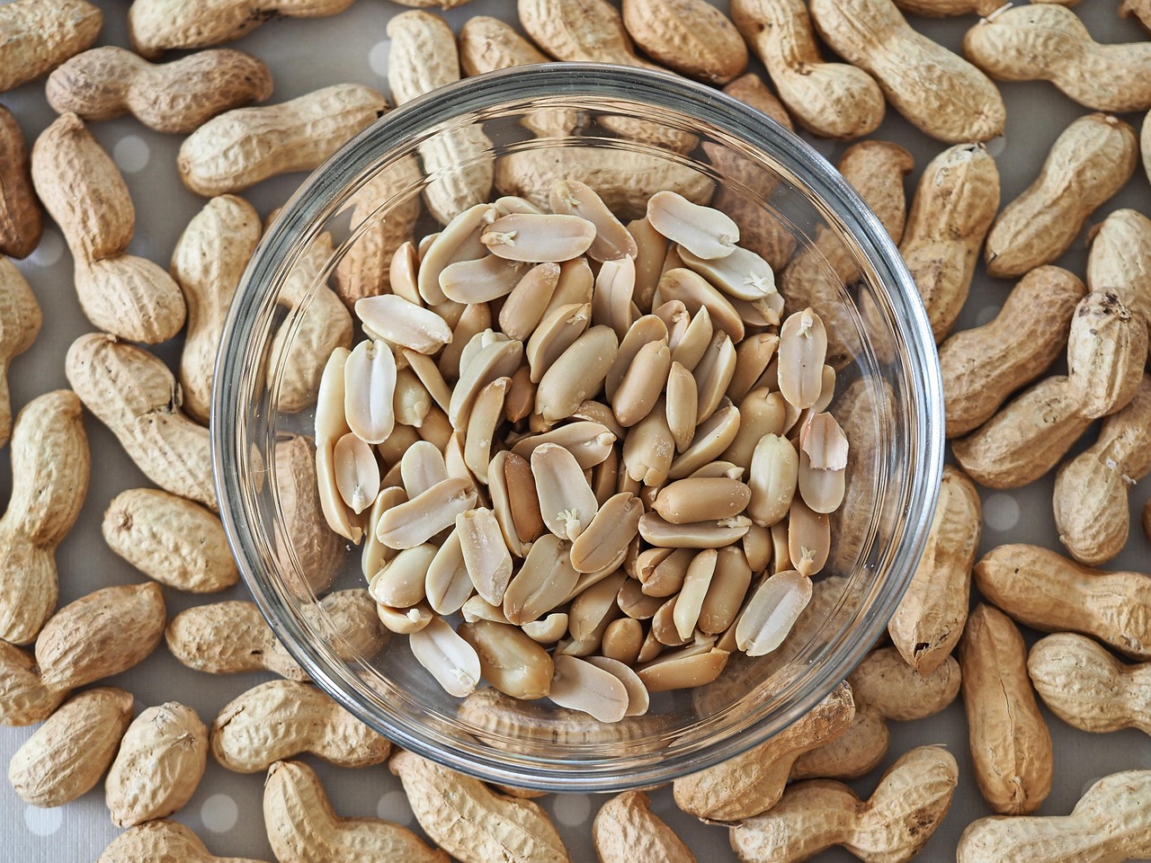 A High Protein Low Carbohydrate Diet Is Key to Staying Slim