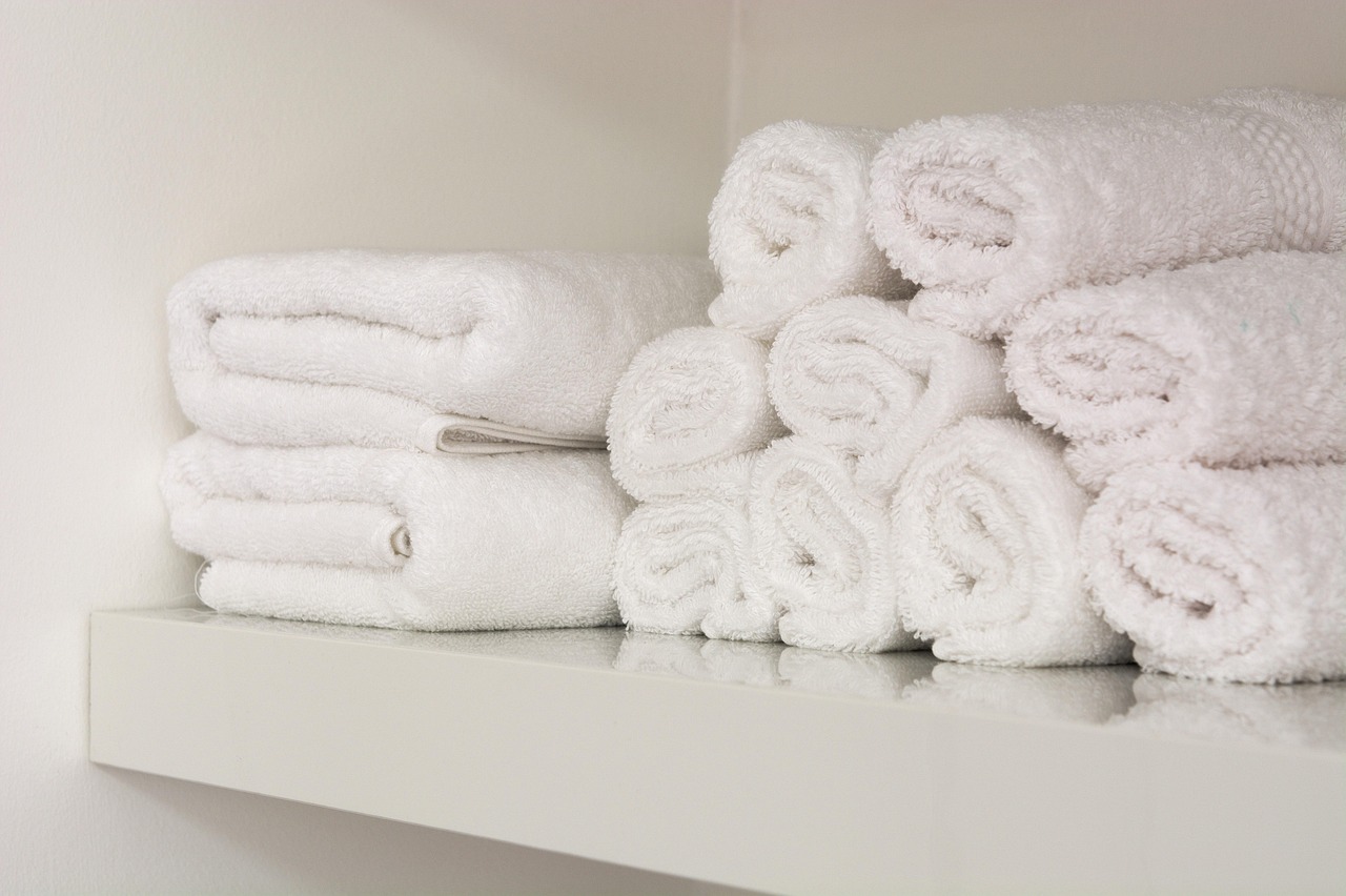 The Role of Hotels in Sustainable Tourism