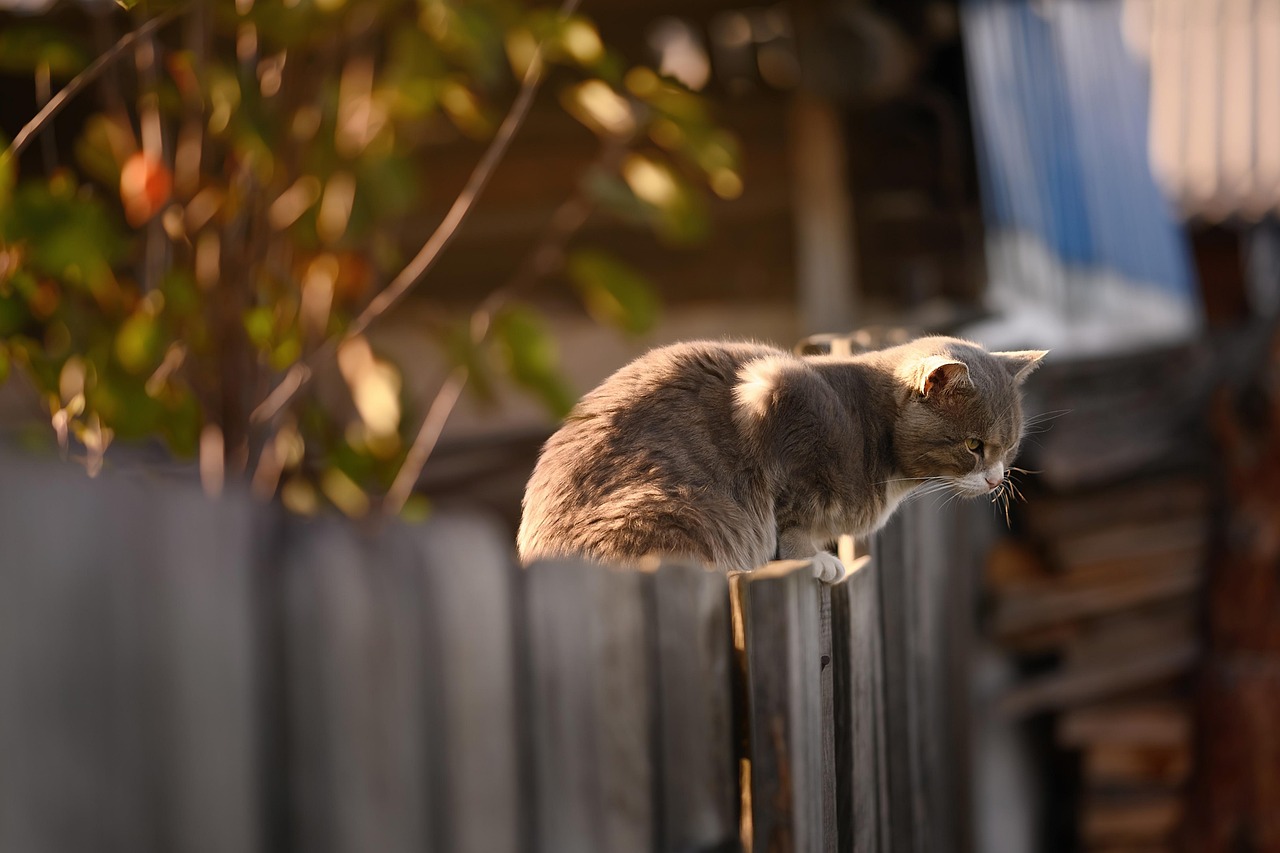 Installing a Fence