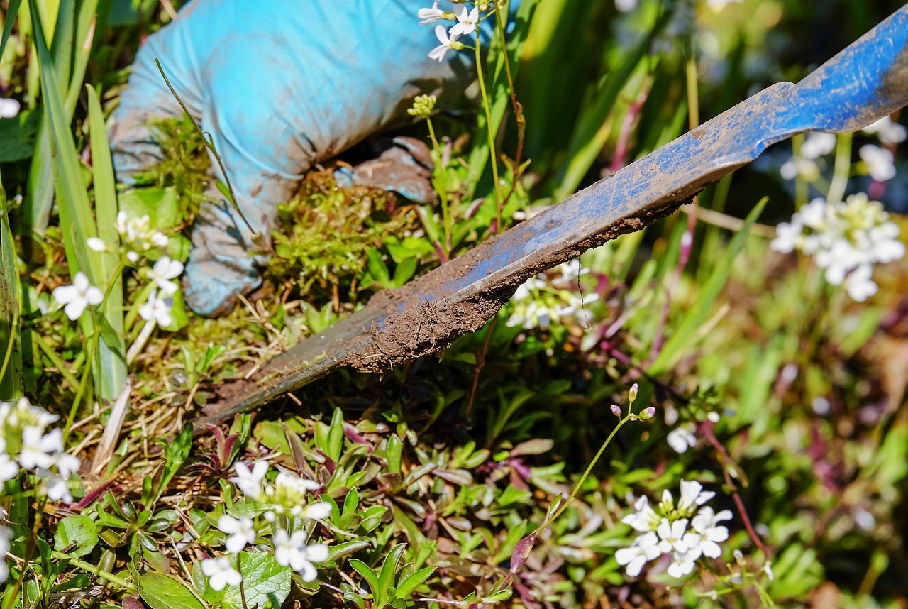 Best tools to remove wallpaper