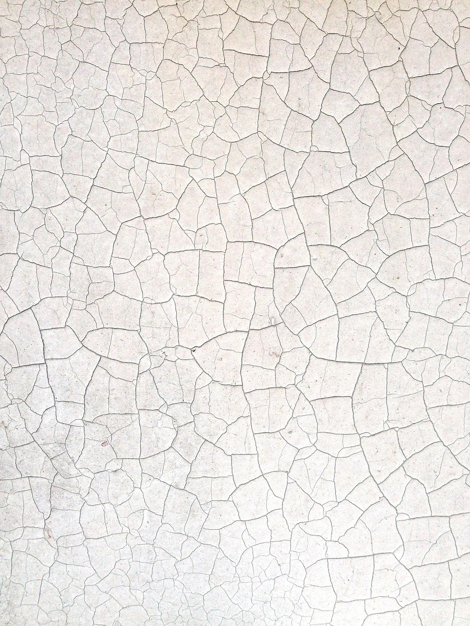 Importance of Paint Surface Preparation