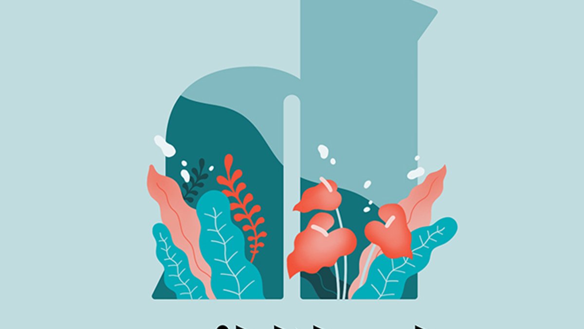 Tips for living with bipolar disorder - bipolar disorder