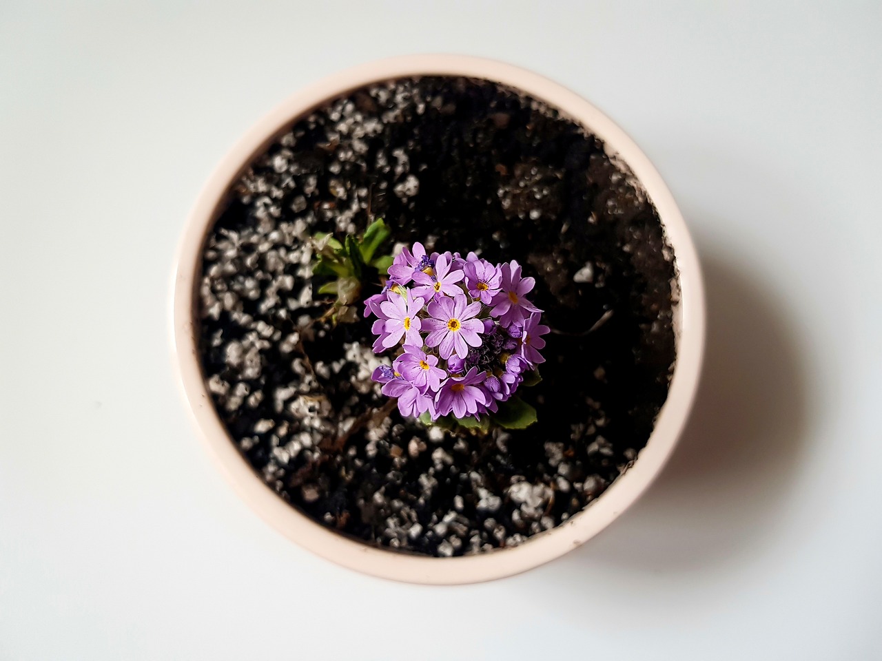 Fabric Flower Pots for Your Garden