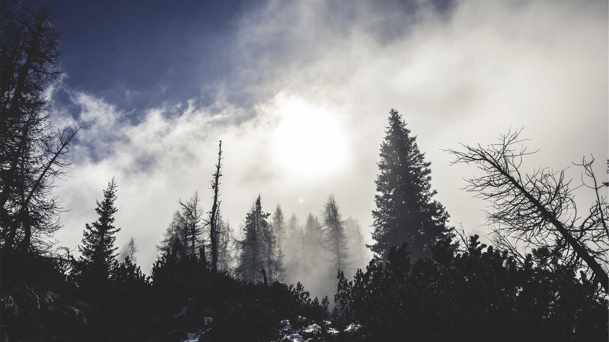 Denver daily & private tours