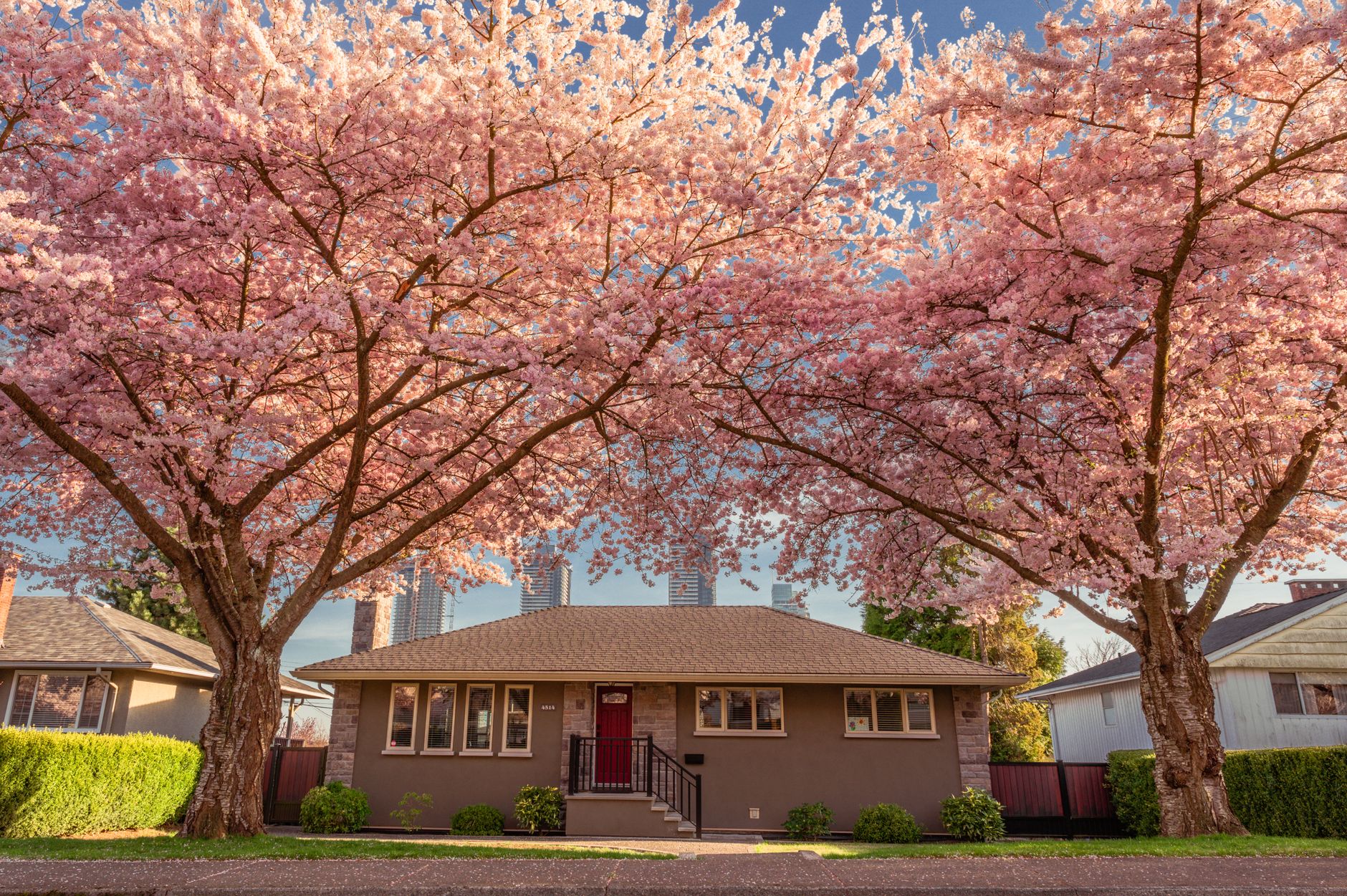 How to make a beautiful house