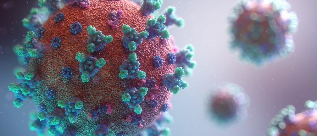 Learning Programming Online Despite the Effects of Coronavirus on the Labor Market