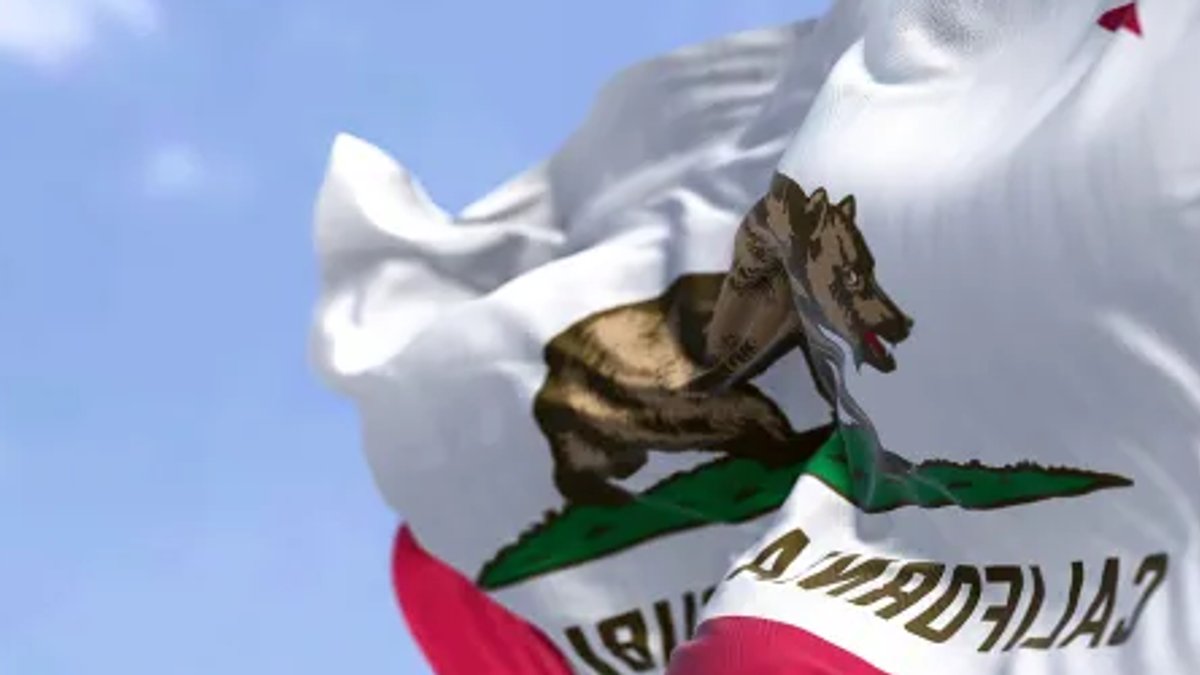 California moves to tax software and cut business credits - software taxation