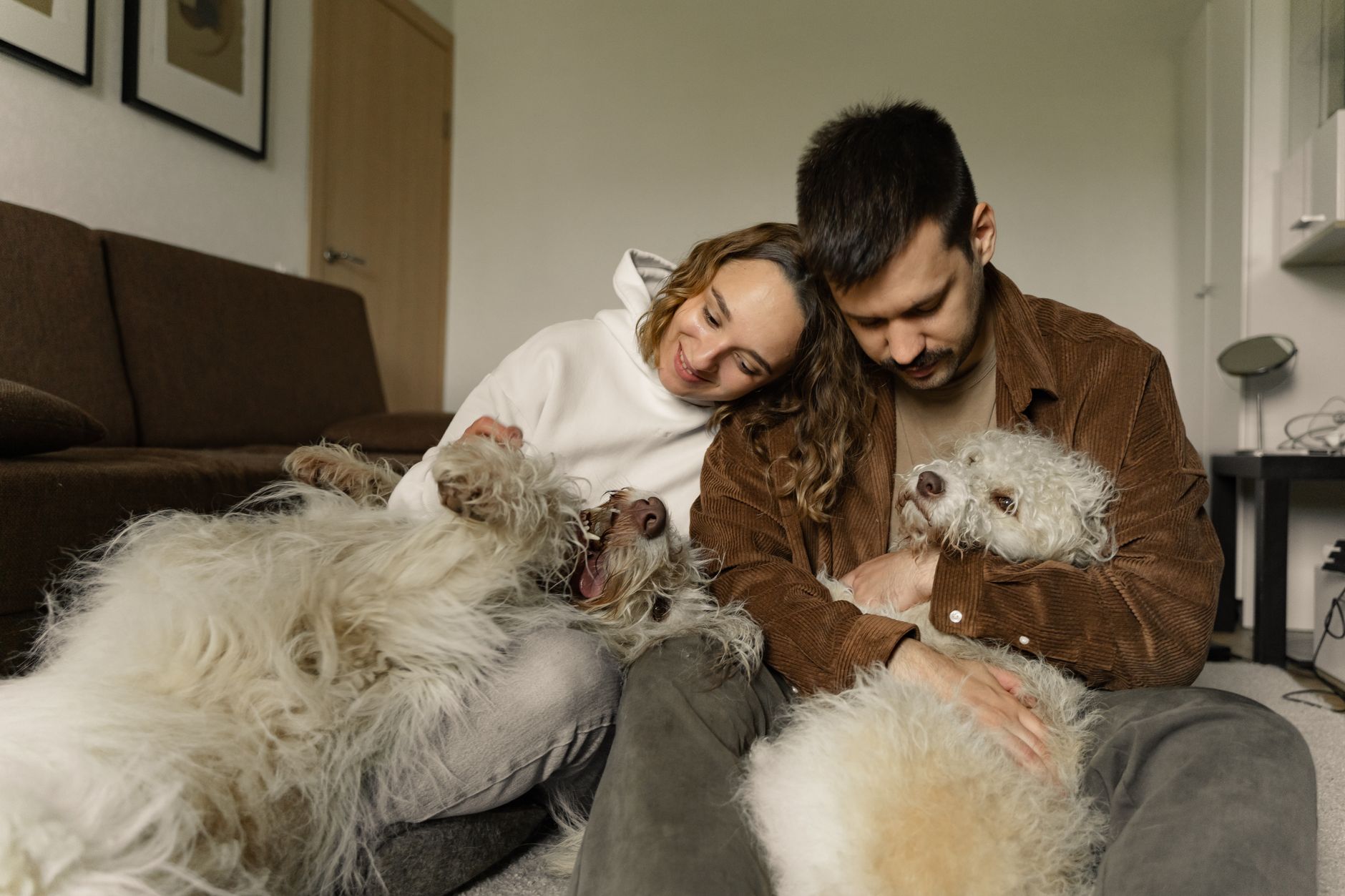 5 Things You Need to Know About Bringing Your Pet to Spain