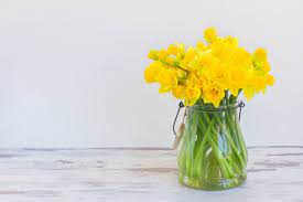 The Best Flowers To Send for Your Loved One’s Career Milestones