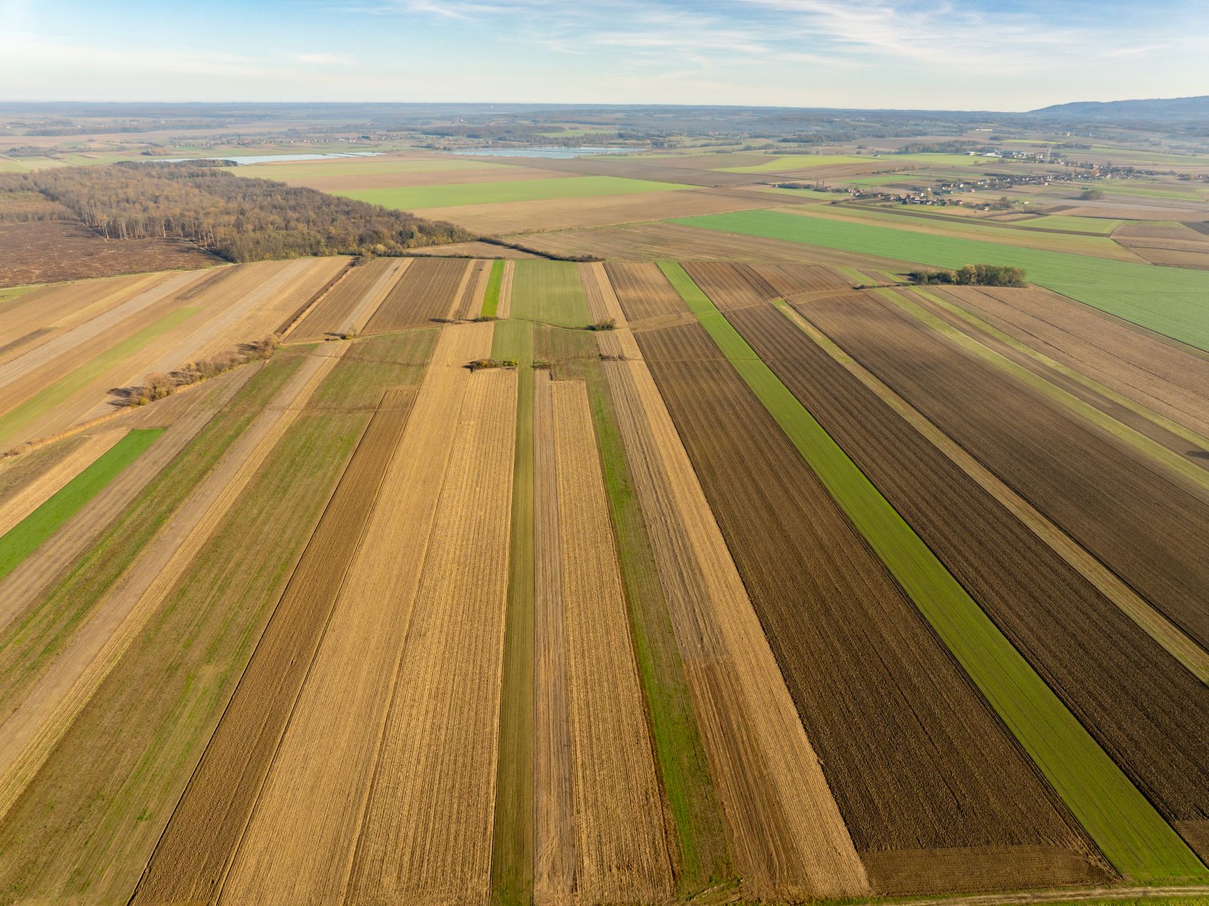 Use these Steps to Implement the Best Field Service Management Software Successfully