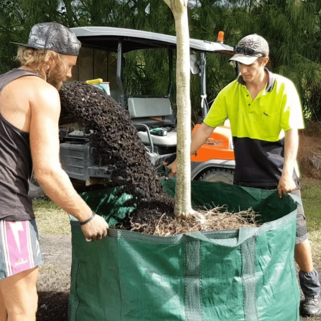 Plant Bags Australia: Leading Supplier of Innovative Planter Bags with Velcro