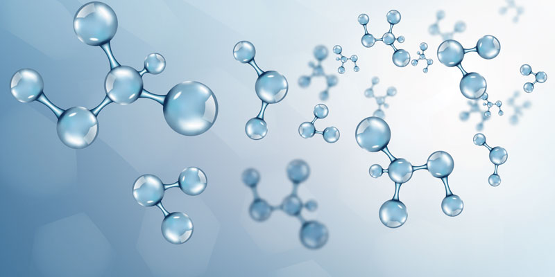 Asian Chemical Biology Conference: A Dynamic Hub for Innovation in Chemical Biology