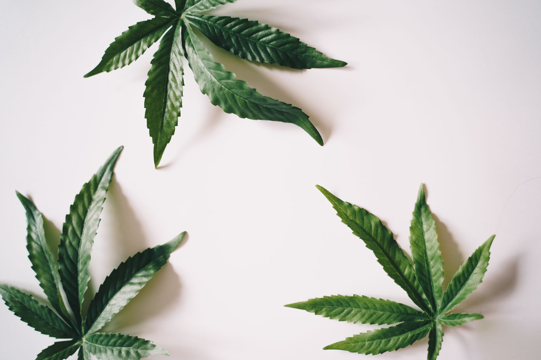 The Weed Patch: Here’s How CBD Helps with Withdrawal and Relapse, According to Studies