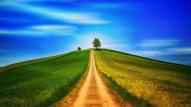 How To Enjoy Your Summer Outside