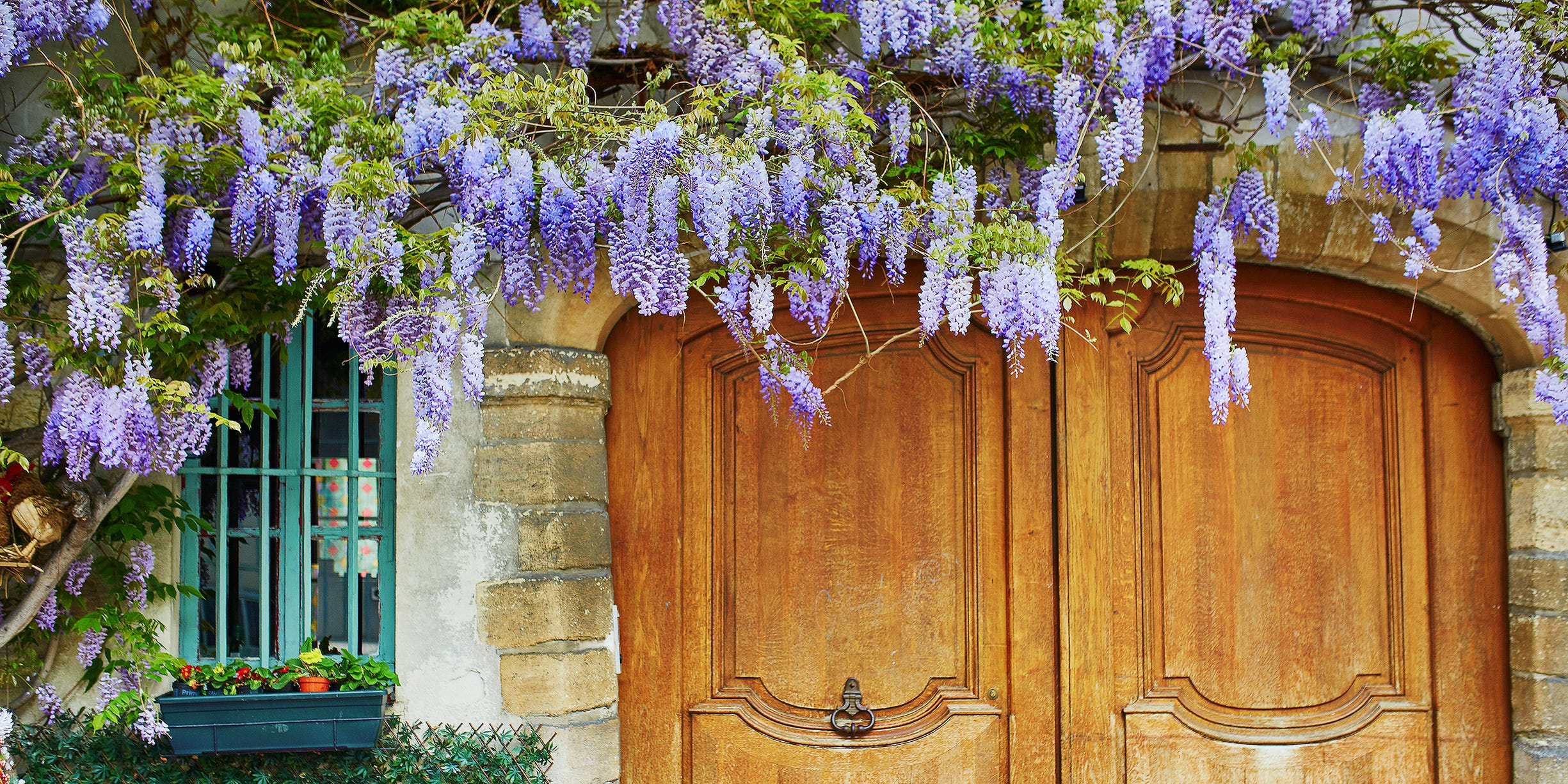 Confused About Choosing The Best Flowers? Get Some Of The Best Ideas!