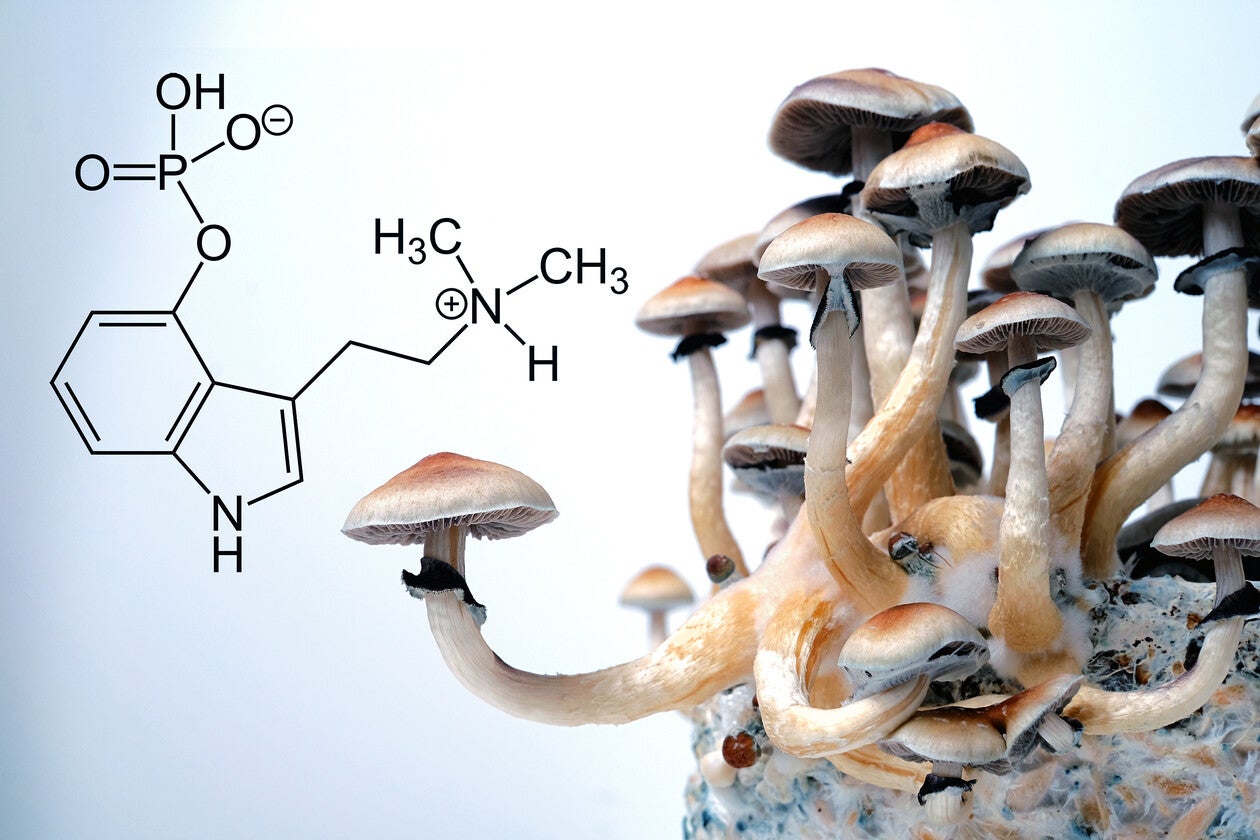 Set and Setting: How to Prepare for a Psilocybin Experience