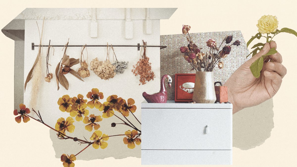Discover 4 Methods to Dry Flowers for Long-Lasting Blooms Discover 4 Methods to Dry Flowers for Long-Lasting Blooms - dry flowers