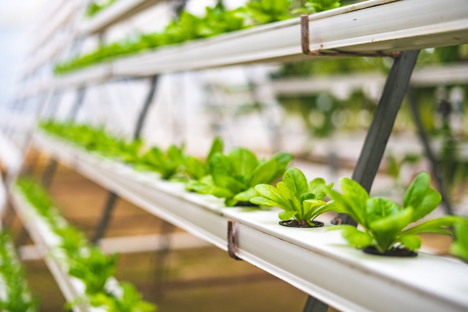 Inovações Imperdíveis na Agrishow e o Futuro do Agro