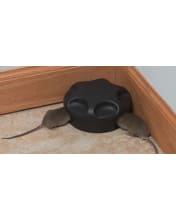 Protecta Keyless Tamper-Resistant Mouse Bait Station - Pest Control  Technology