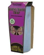 GYPSY MOTH TRAP