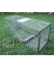 Mice and Rodent Traps - Safeguard Traps