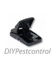 https://res.cloudinary.com/diypestcontrol/image/upload/c_lpad,dpr_2.0,f_auto,h_110,q_auto,w_88/v1/media/catalog/product/t/r/trappper-t-rex_1.jpg?_i=AB