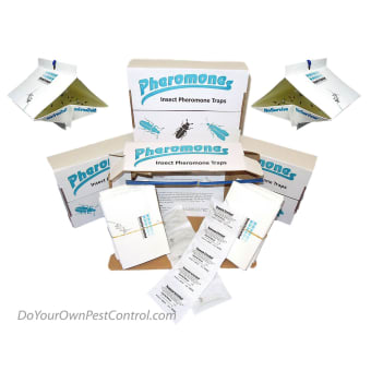 Propest Pheronet Pheromone Pantry Pest Moth Trap