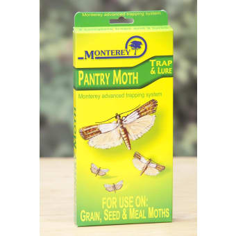 Revenge No Escape Moth Traps - Where to buy Revenge Pantry Moth