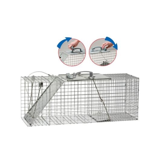 Havahart Easy Set Live Raccoon Trap, Gray, L