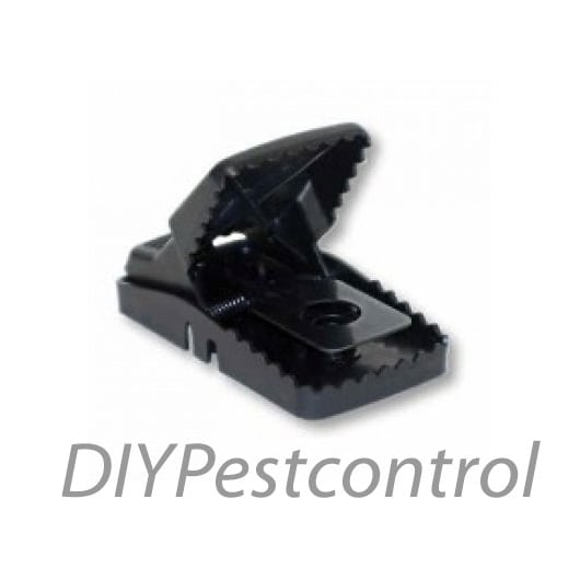 https://res.cloudinary.com/diypestcontrol/image/upload/c_lpad,dpr_2.0,f_auto,h_265,q_auto,w_265/v1/media/catalog/product/t/r/trappper-t-rex_1.jpg?_i=AB