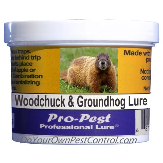 https://res.cloudinary.com/diypestcontrol/image/upload/c_lpad,dpr_2.0,f_auto,h_265,q_auto,w_265/v1/media/catalog/product/w/o/woodchuck-lure-8_oz-t.jpg?_i=AB