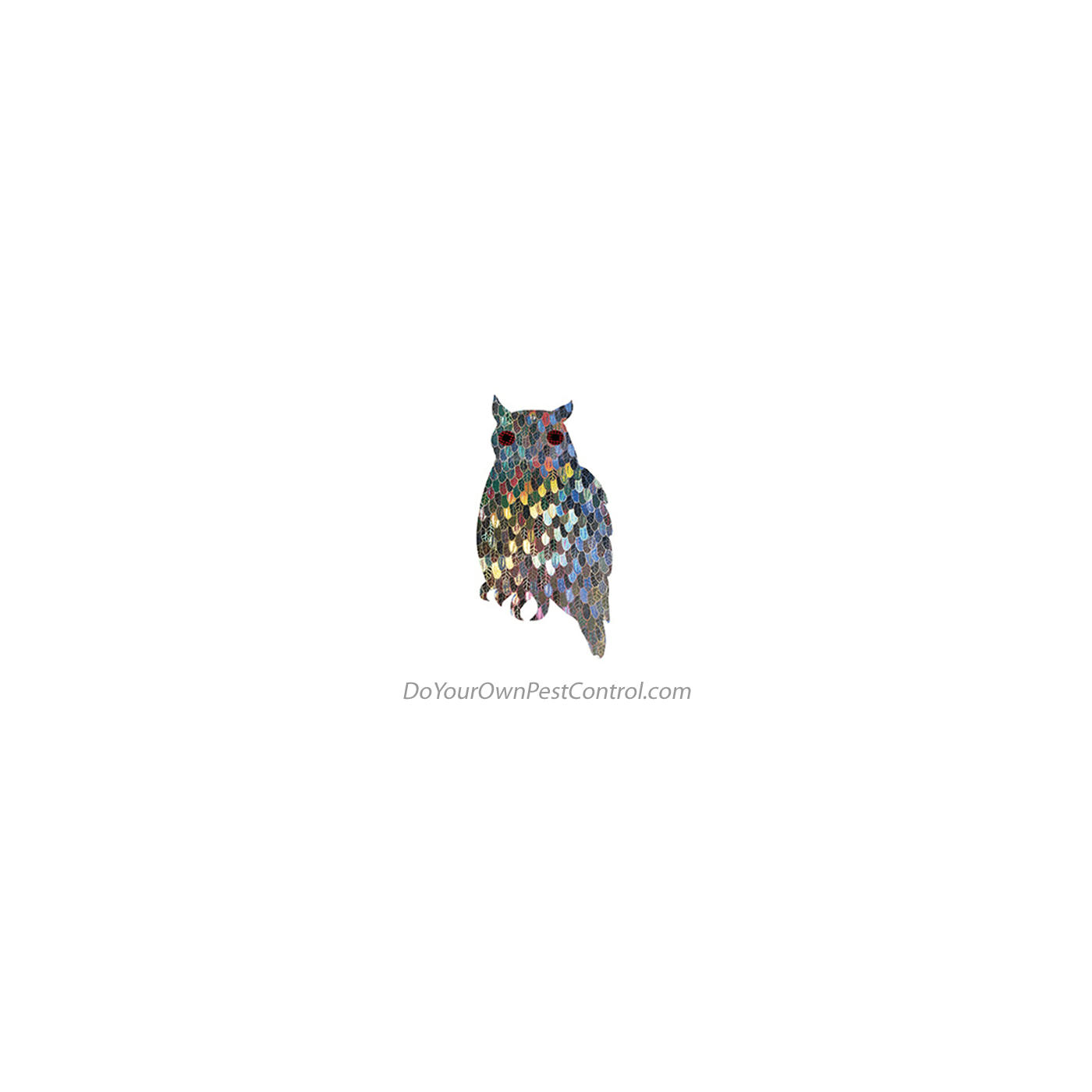 Guardian Holographic Owl | Free Shipping