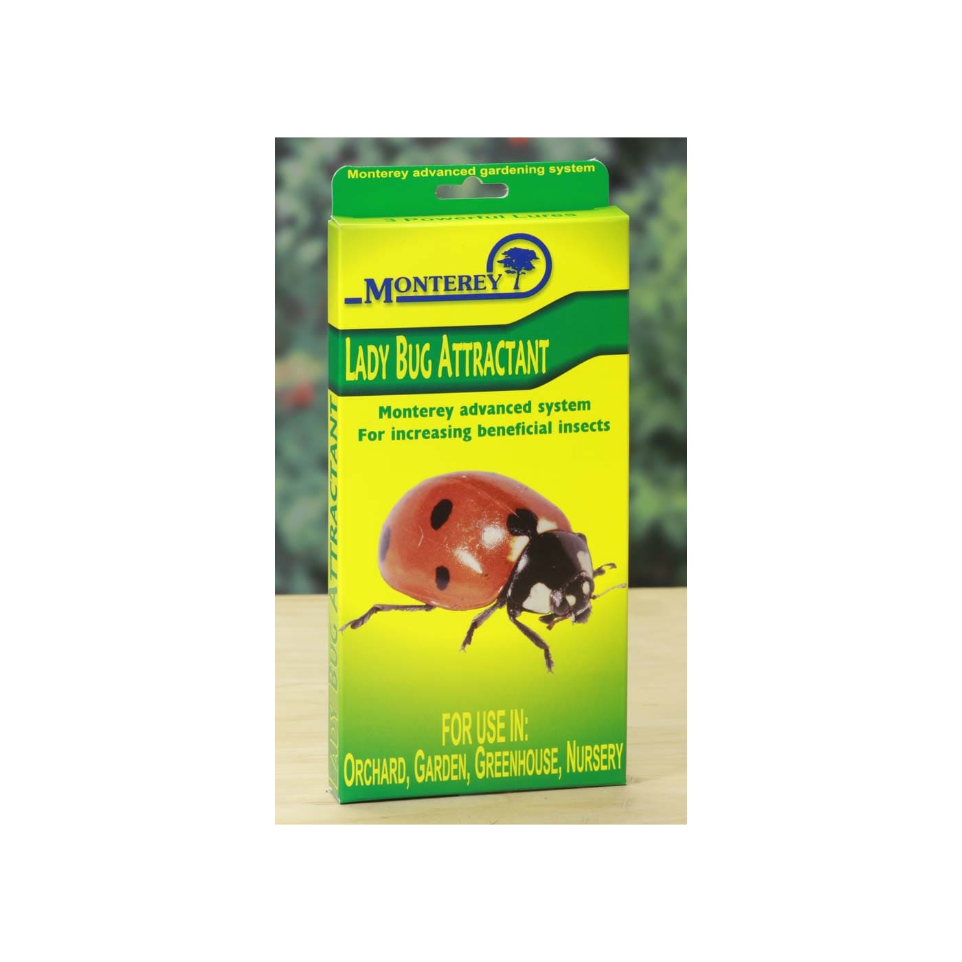 Monterey Lady Bug Attractant