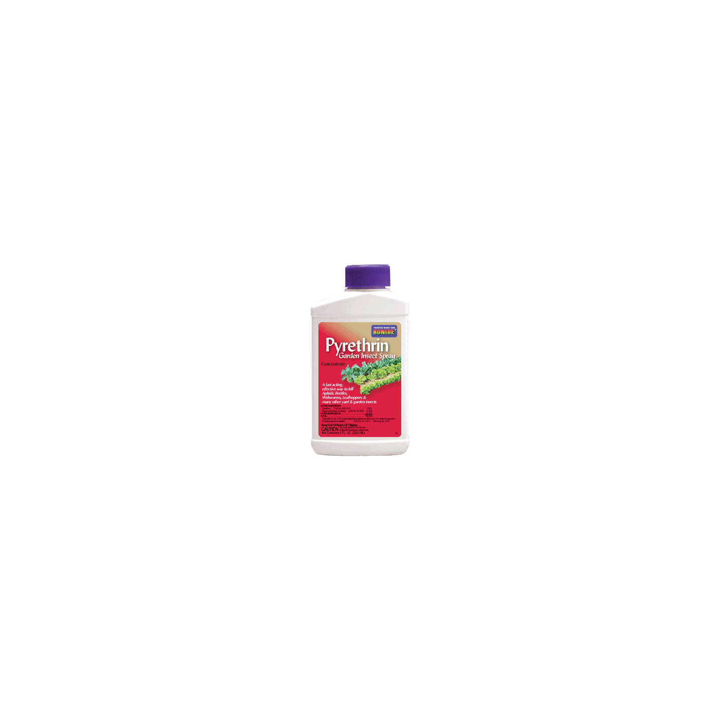 Bonide Pyrethrin Concentrate, Bonide 858 Garden Insect Spray
