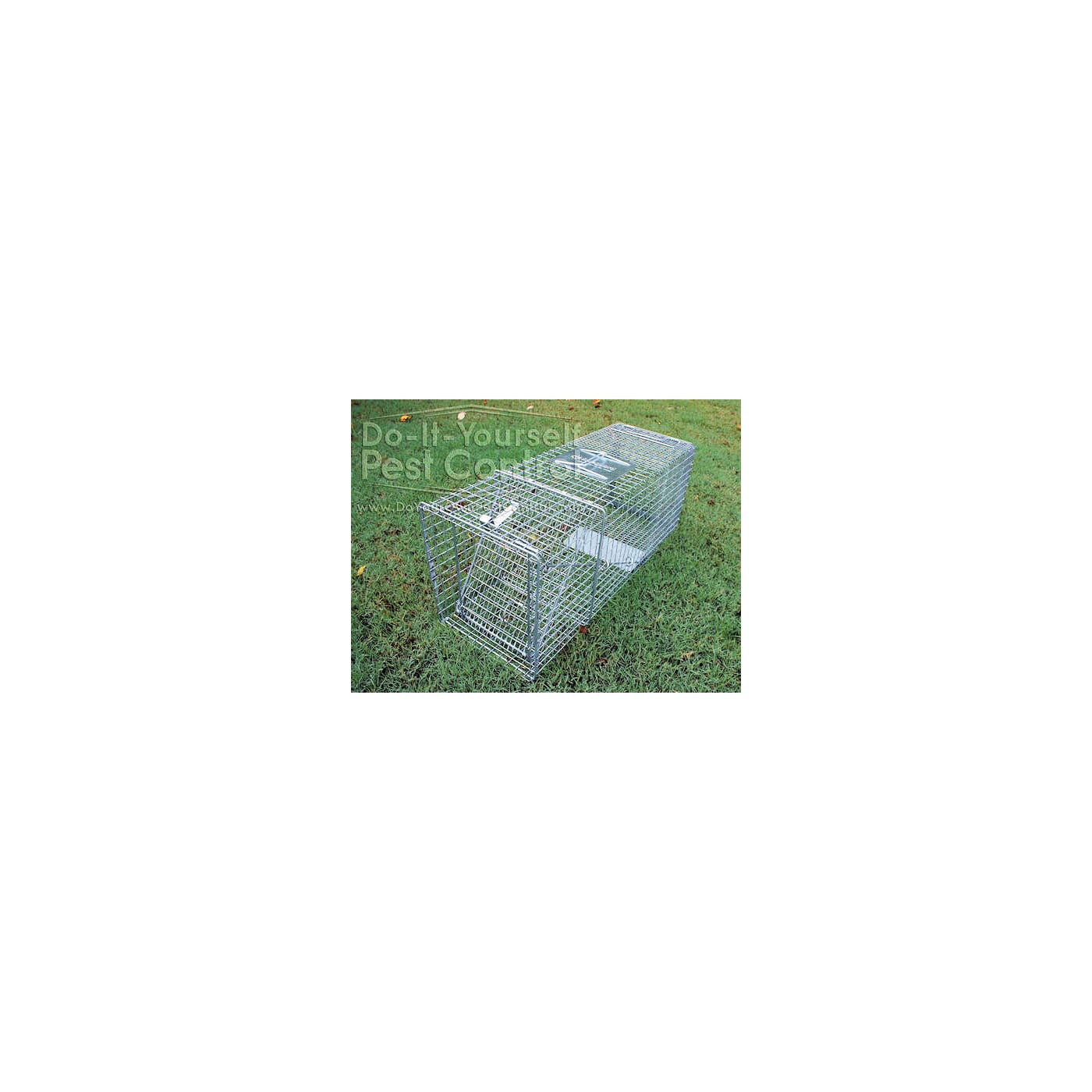 Safeguard 52860 Larger Dog-Sized Trap 60 x 20 x 28 - Slide Release Door