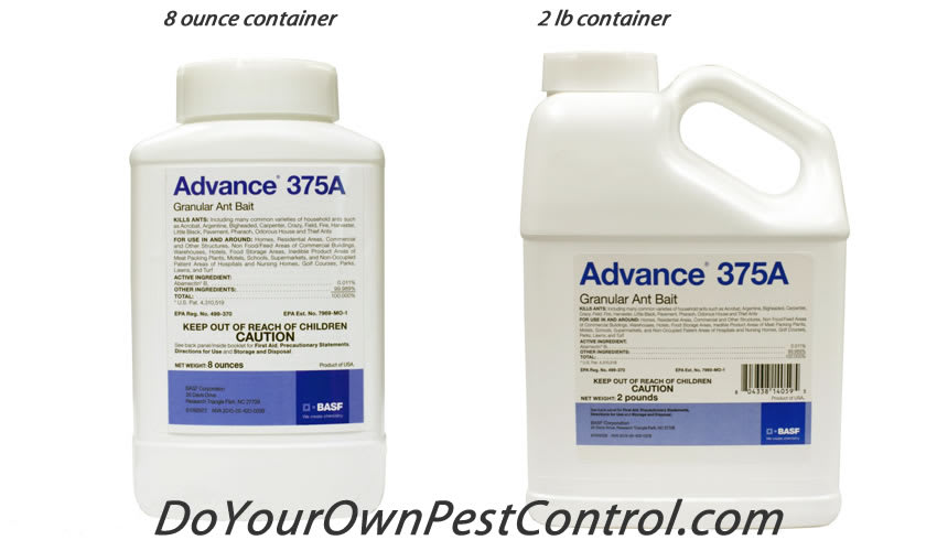 Advance 375A Select Granular Ant Bait