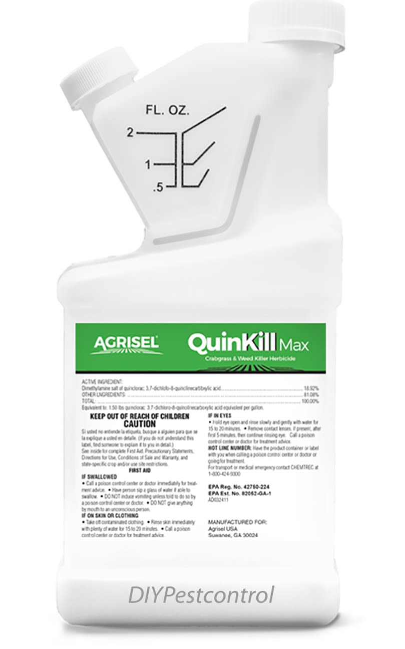 Quin Kill Max Crabgrass and Weed Killer | Do It Yourself Pest ...