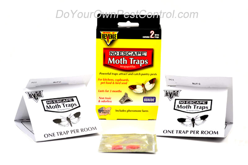 Departments - REVENGE Pantry Moth Traps