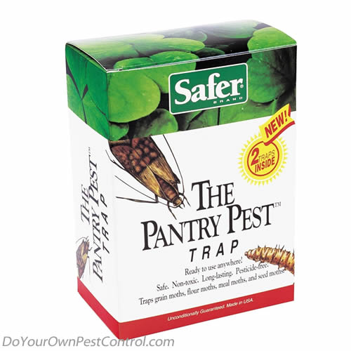 Non-Toxic Flour & Pantry Moth Traps