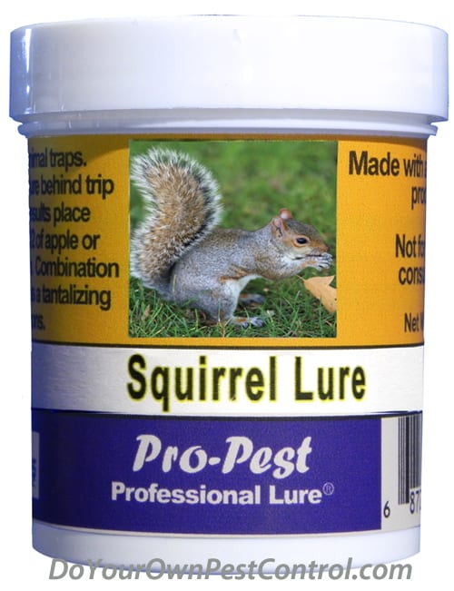 Pro-Pest Professional Lures for Squirrels