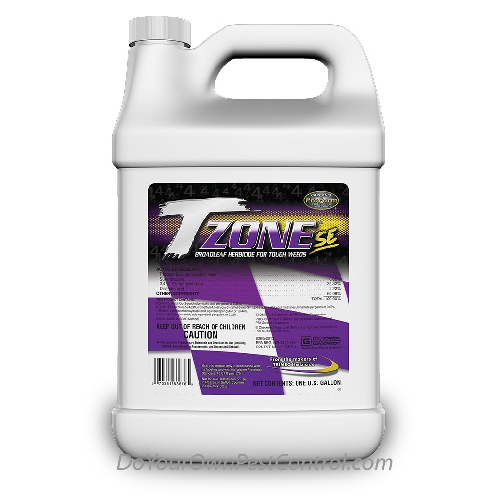 T Zone SE