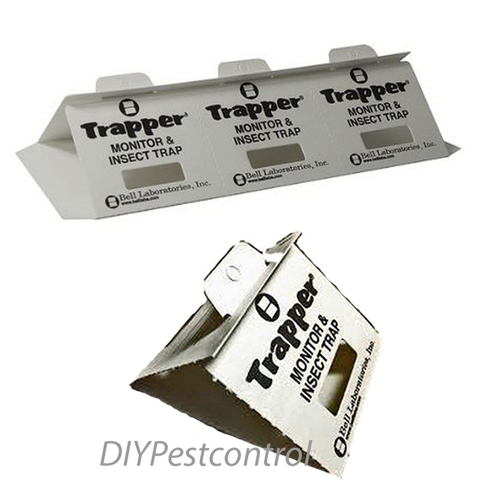 Trapper Monitor Insect Traps