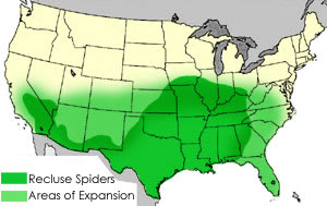 Brown Recluse Region Map