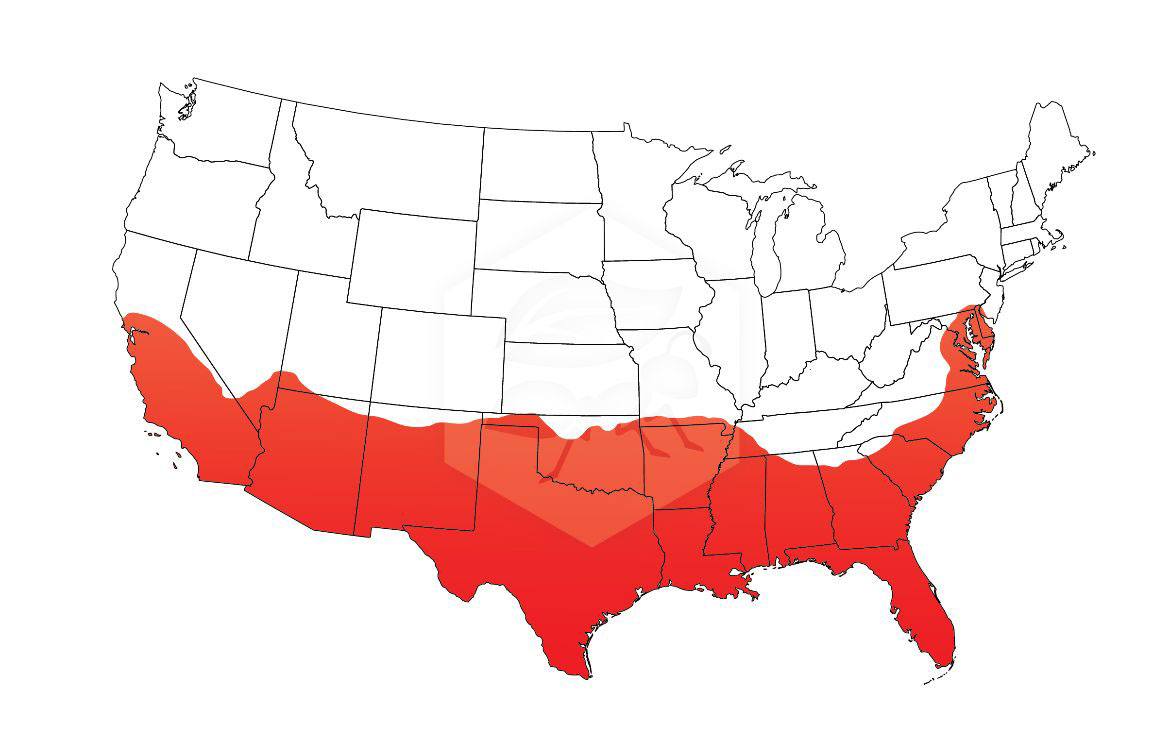 Fire ant geographic location map