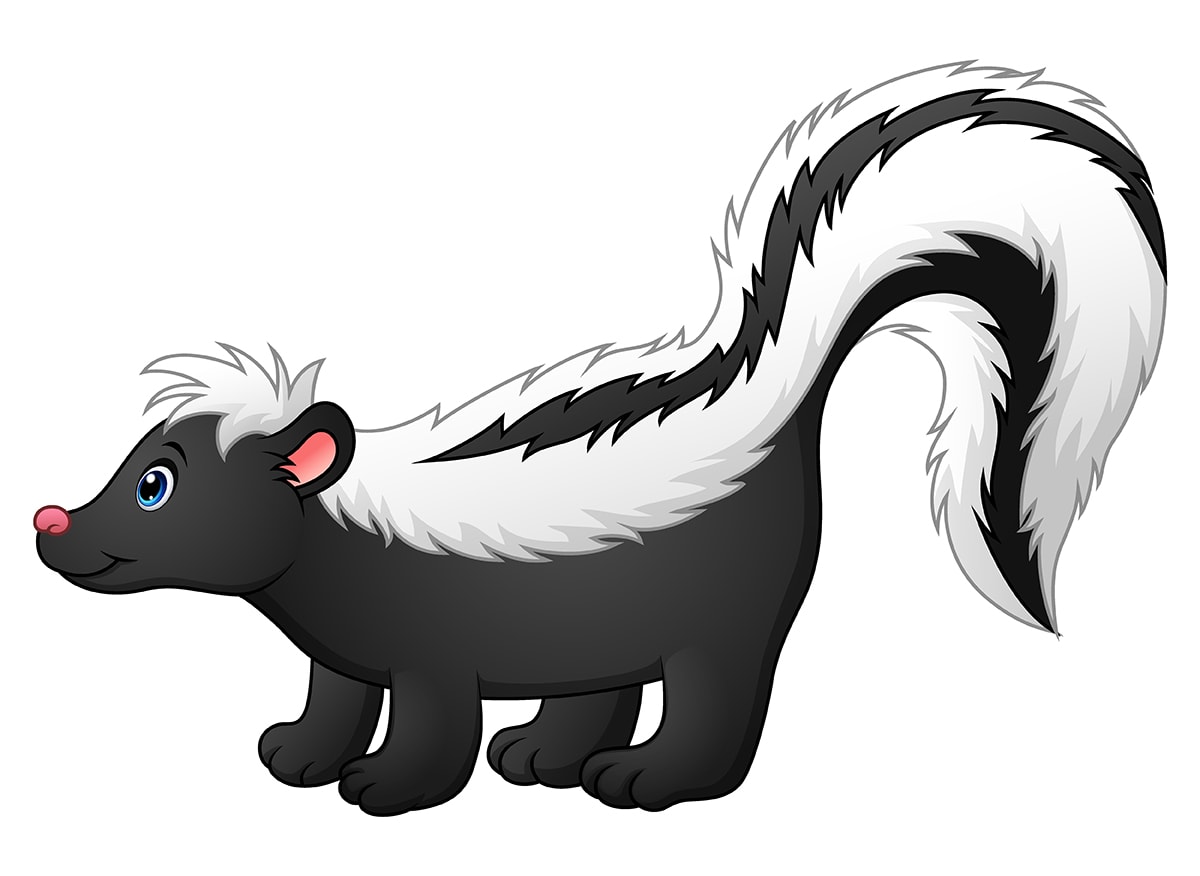 Skunk