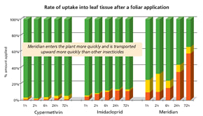 root uptake