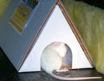 Rodotrak Rodent Detection System
