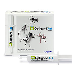 Professional Ant Baits - DIY Pest Control
