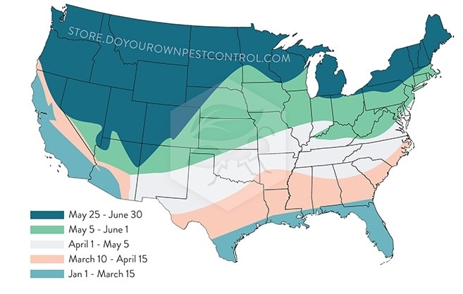 When to apply pre-emergents in the US